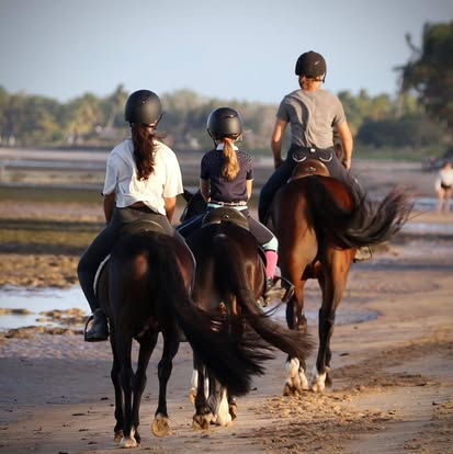 Balade à cheval sur la plage