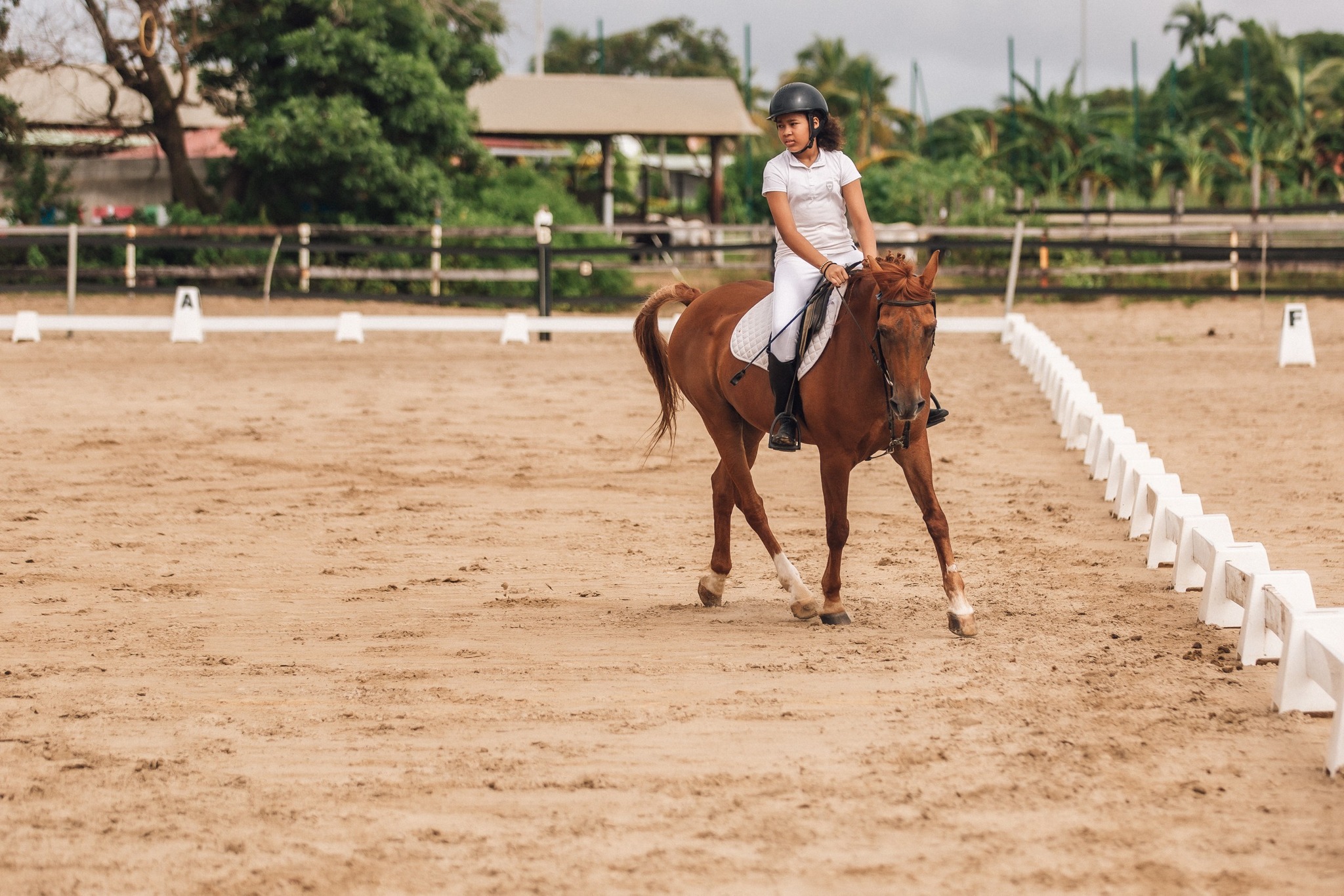 Jeune cavalière en cours