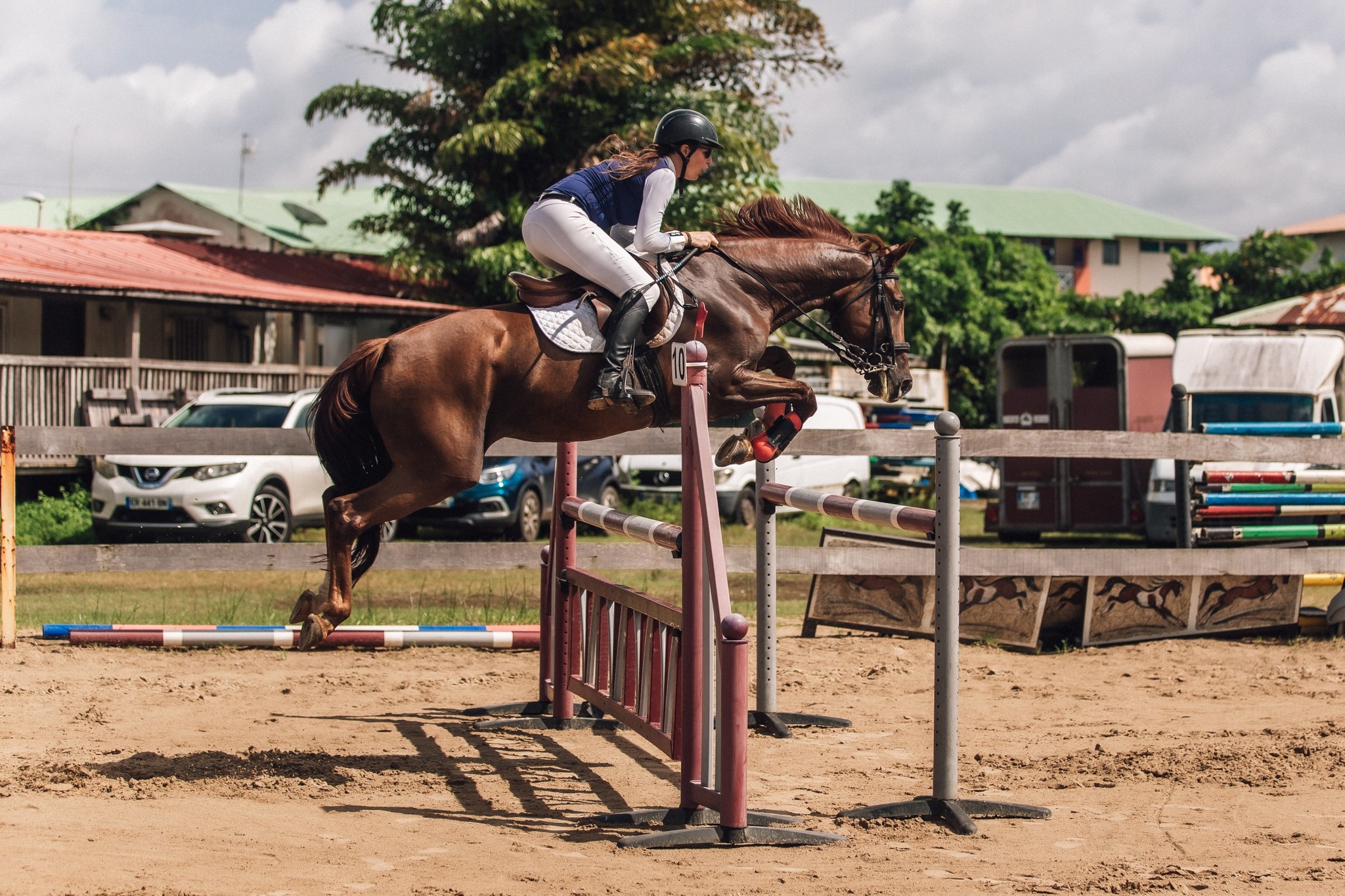Cavalière en compétition de saut d'obstacles