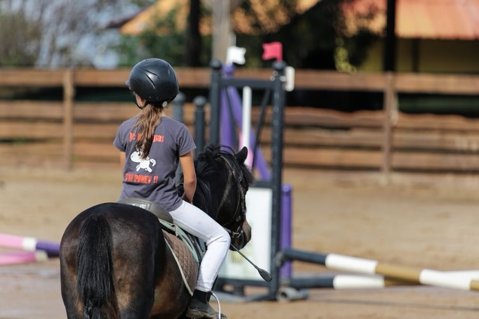 Jeune cavaliere sur un cheval